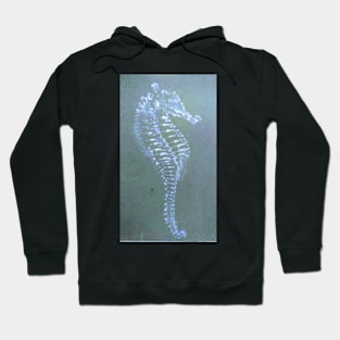 Sea horse Hoodie